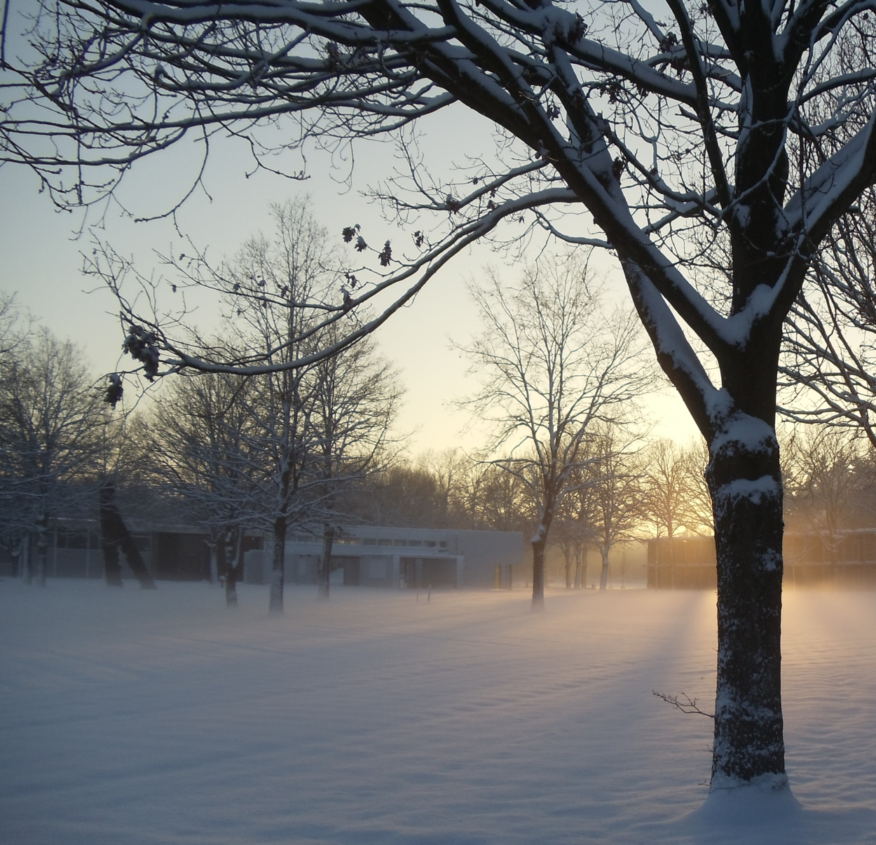 Een veld bedekt met sneeuw, besneeuwde bomen met gebouwen op de achtergrond en de zonsopgang achter een gebouw